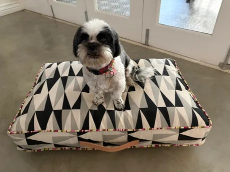 PET BEDS — view 2